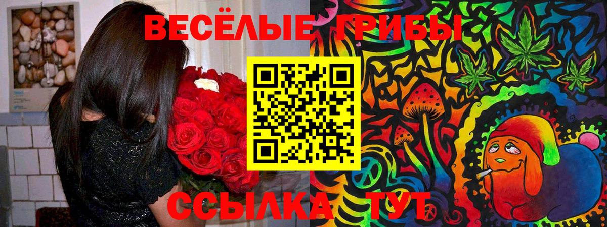 Галлюциногенные грибы MAGIC MUSHROOMS Красный Сулин